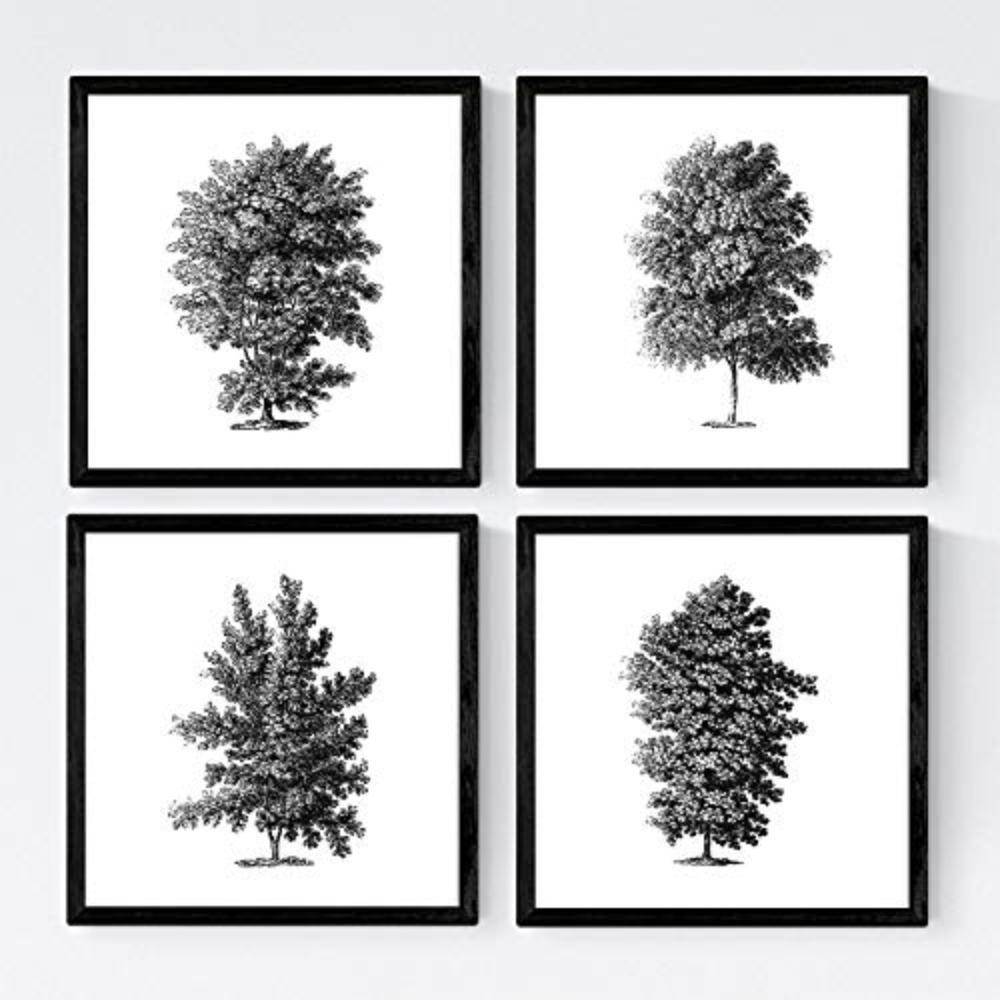 POSTER Set mit 4 Blättern der Hohe Bäume Hintergrund 30x30 cm Rahmenlos - Klar, Papier (30/3cm) - Nacnic