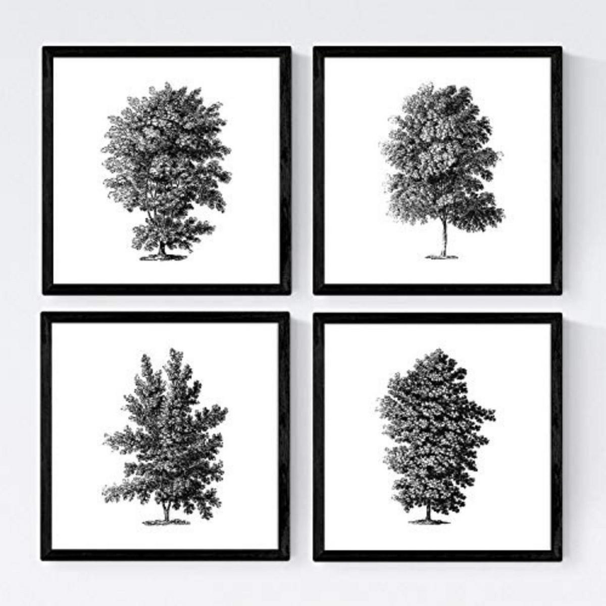 POSTER Set mit 4 Blättern der Hohe Bäume Hintergrund 30x30 cm Rahmenlos - Klar, Papier (30/3cm) - Nacnic