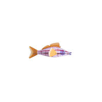WANDDEKO Kreativer Fisch 8/8.5 cm - Multicolor, Wellpappe (8/8.5/26cm) - KUNSTLOFT