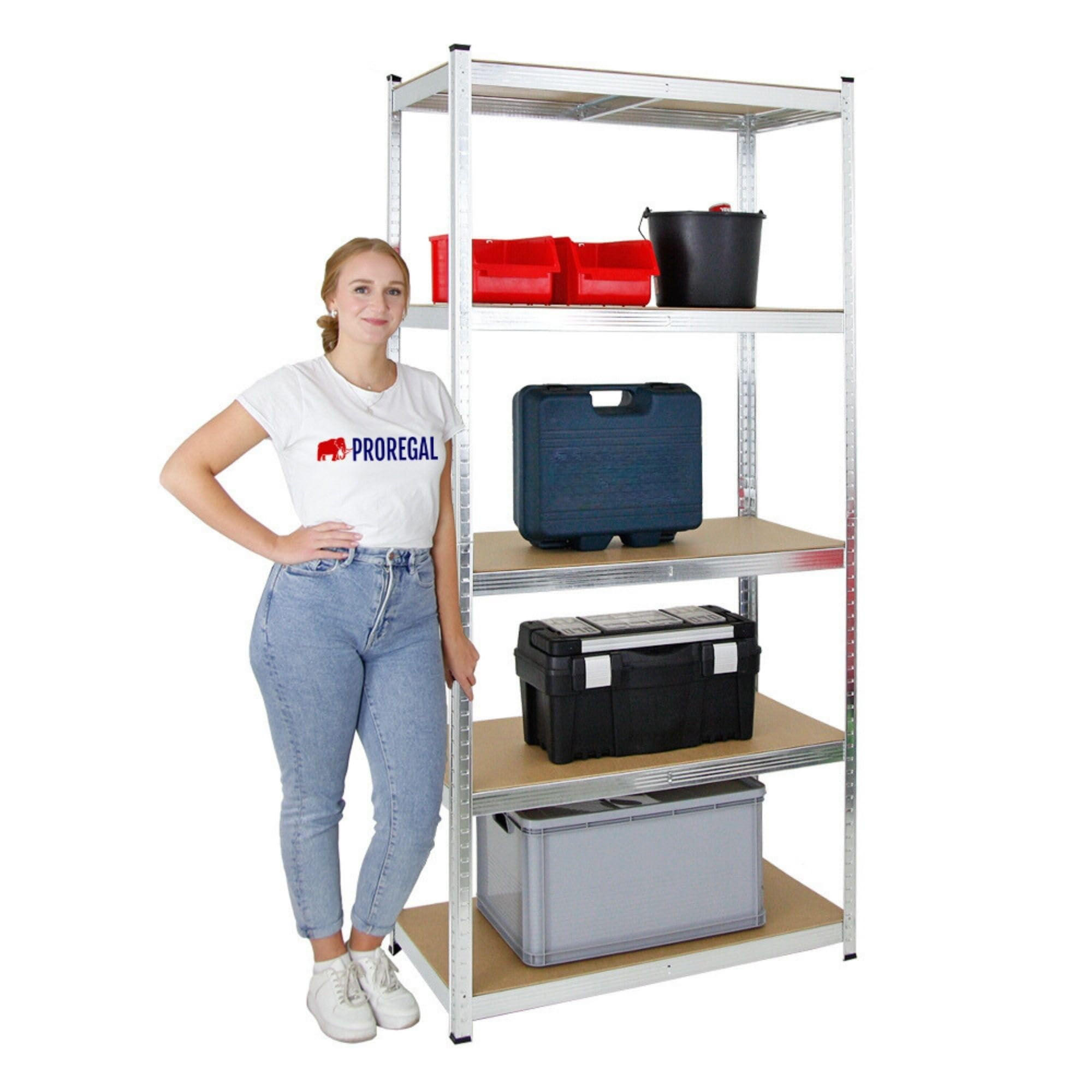 SCHWERLASTREGAL Giant Ragnar 200x100x50 cm Fachlast 175 kg Verzinkt - Silberfarben, Metall (100/200/50cm) - PROREGAL
