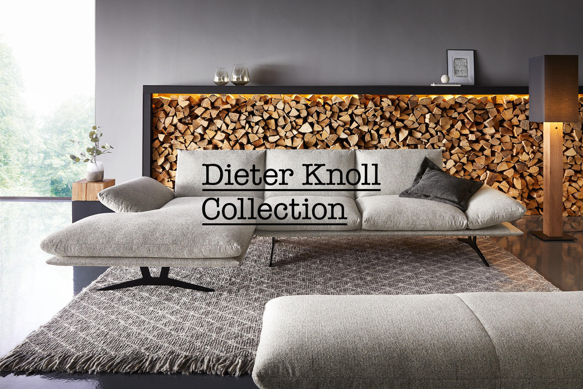 dieter knoll.jpg