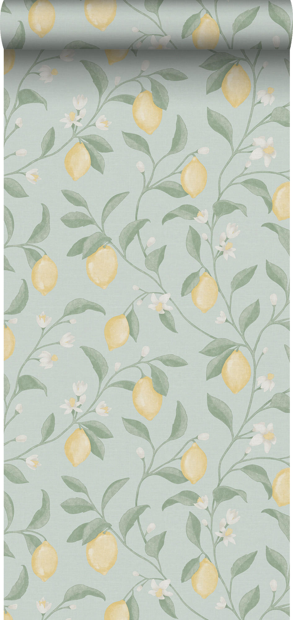 TAPETE Obst 53 cm x 10 m - Blau, Papier (53/1000cm) - Sanders & Sanders