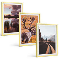 BILDER SET 3er Set - 40x60 cm Goldrahmen - Berglandschaften mit Rentieren - Goldfarben, Kunststoff (40/60cm) - TULUP