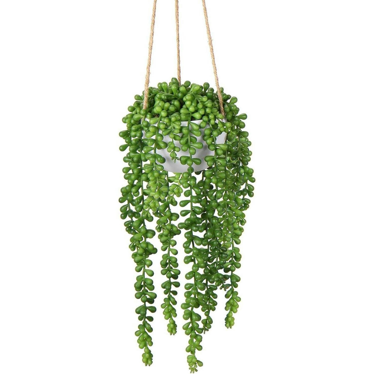 XXXLutz Hängepflanze Grün 35 cm