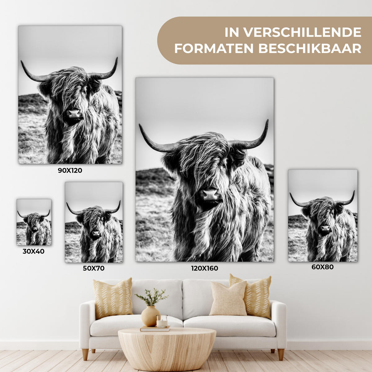 OBRAZ NA PLÁTNĚ Kráva - Skotský horal - Černá - Bílá - Zvíře - Příroda - Divoká zvěř 30x40 cm - černá, textil (30/40cm) - MuchoWow