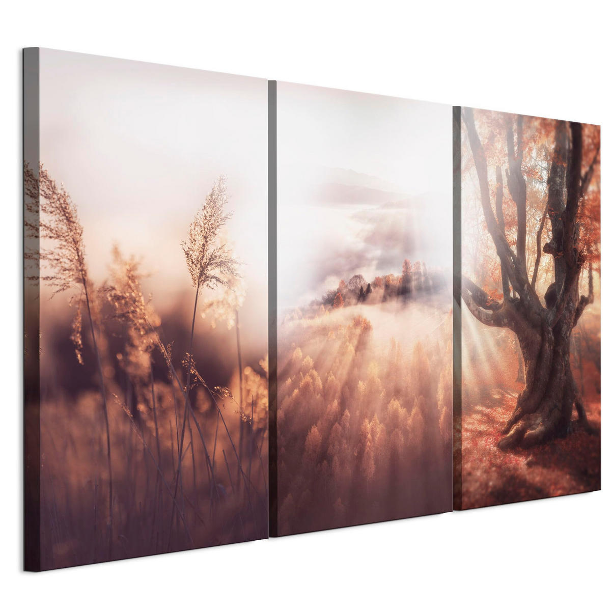 LEINWANDBILD Wald 3-tlg. 120x80 cm - Multicolor, Holz (120/80cm) - LUMASOUL