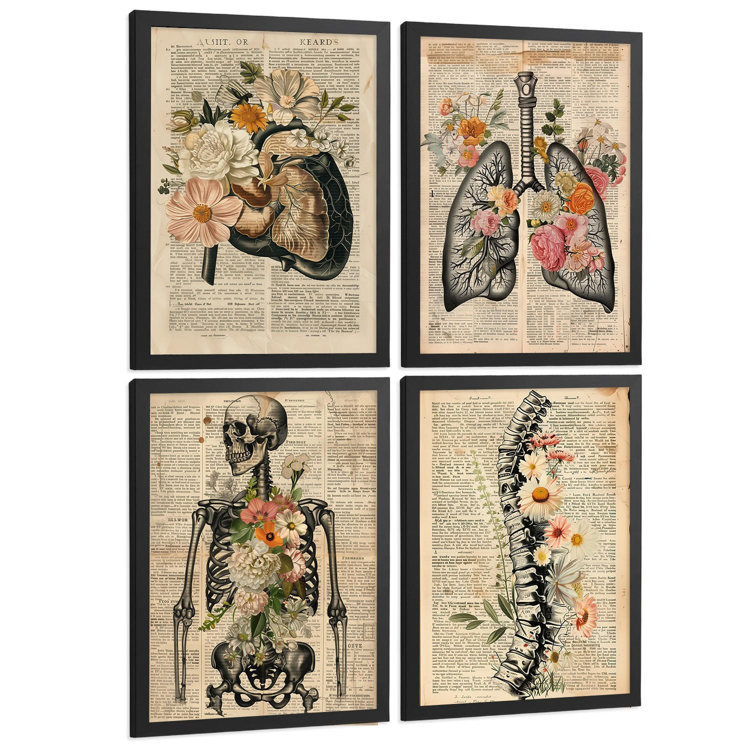 POSTER Set aus 4 Anatomie Drucke und Wandbilder mit Leber Lungen Atmungssystem Skelett Schädel Wirbelsäule Zeitungsstil Größe Schwarzer Rahmen A3 - Schwarz, Papier (29.7/42/3cm) - Nacnic