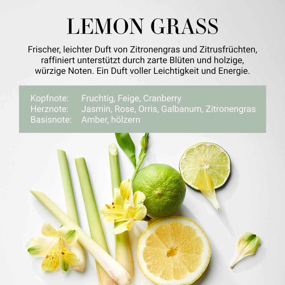 DUFTKERZE Home & Soul No. 4 Lemon Grass - Grün, Holz/Paraffin (9cm) - Butlers