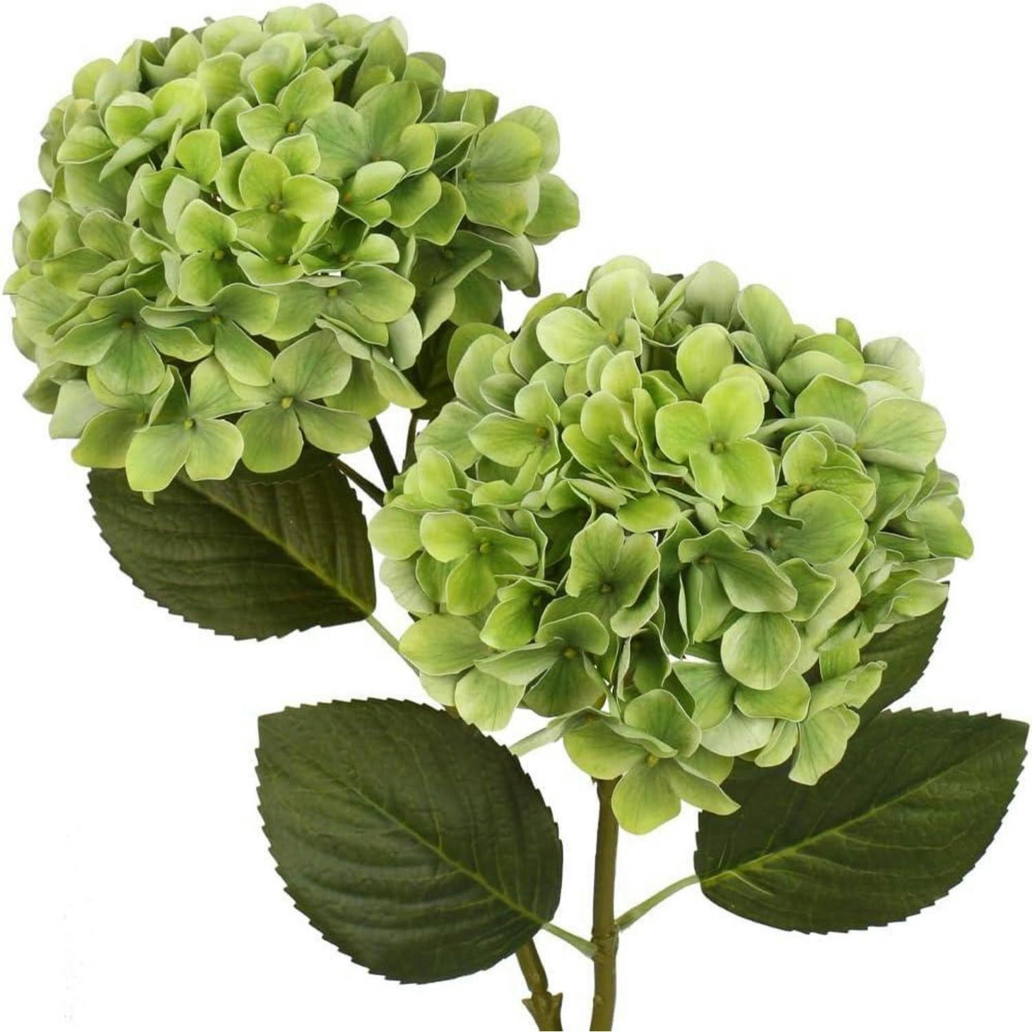 HORTENSIE Kunstblume 2-teiliges Set Grün 63 cm - Grün, Kunststoff (63cm)