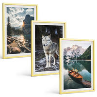 BILDER SET 3er Set - 40x60 cm Goldrahmen - Berge, Seen, Wölfe, Natur - Goldfarben, Kunststoff (40/60cm) - TULUP