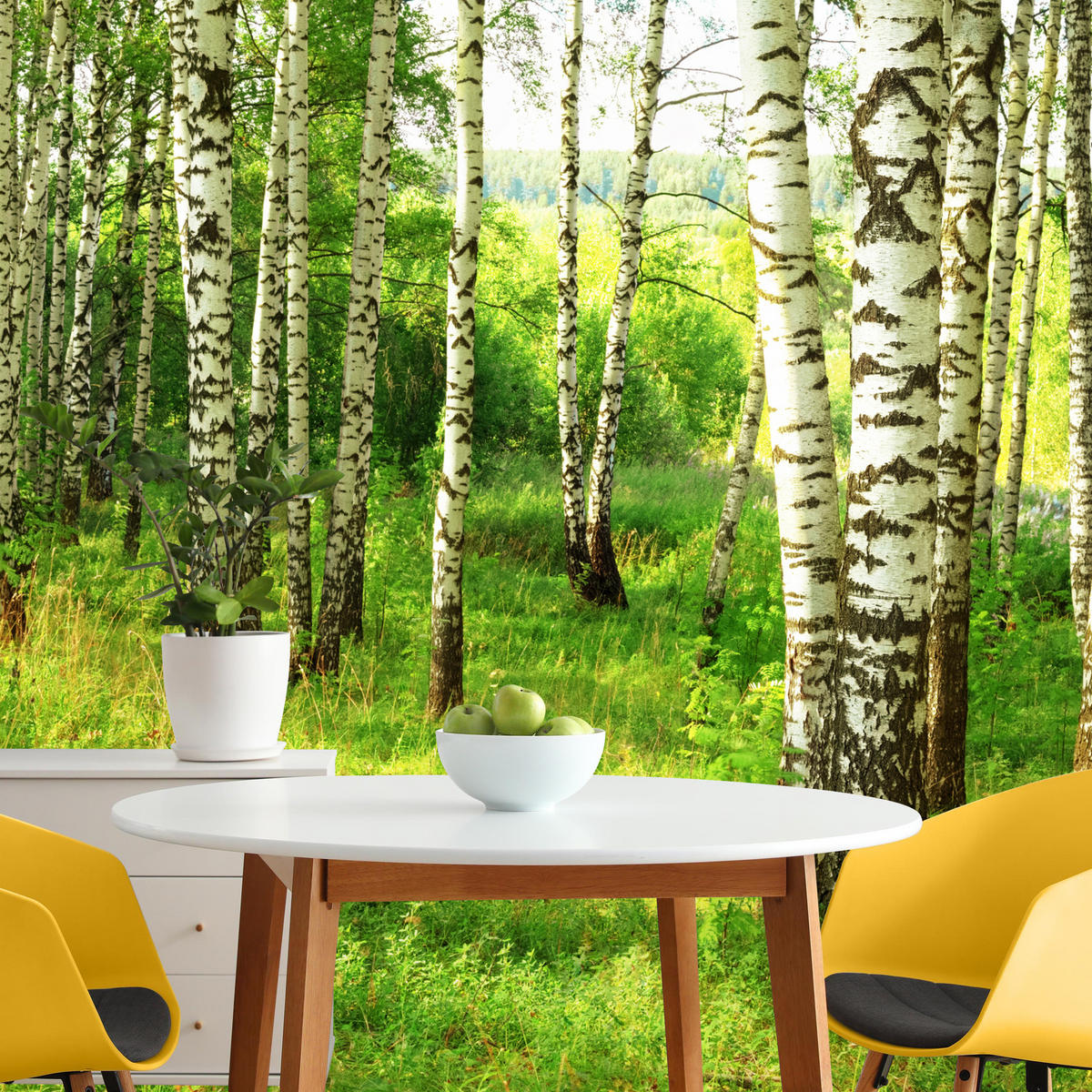 FOTOTAPETE für Esszimmer Birkenwald Bäume Natur 3D 100x70 - Schwarz/Braun, Papier (100/70cm) - Muralo