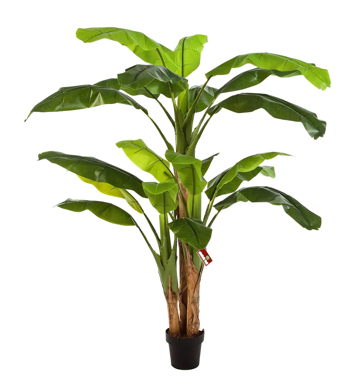 KUNSTBAUM Künstlicher Bananenbaum - Pauline 180 cm - Grün, Kunststoff (180cm) - aplanta