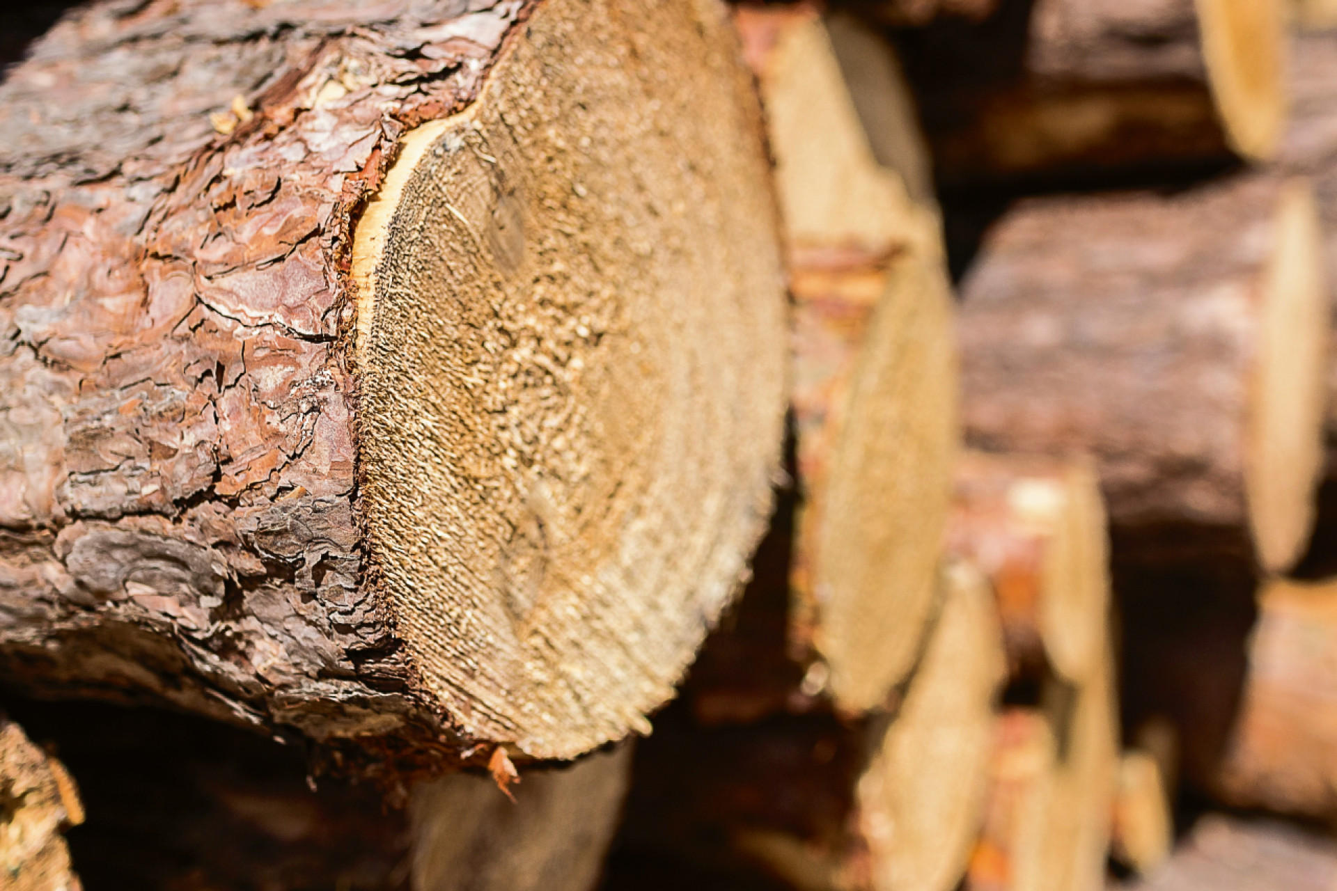 decke-material-holz-naturfaser