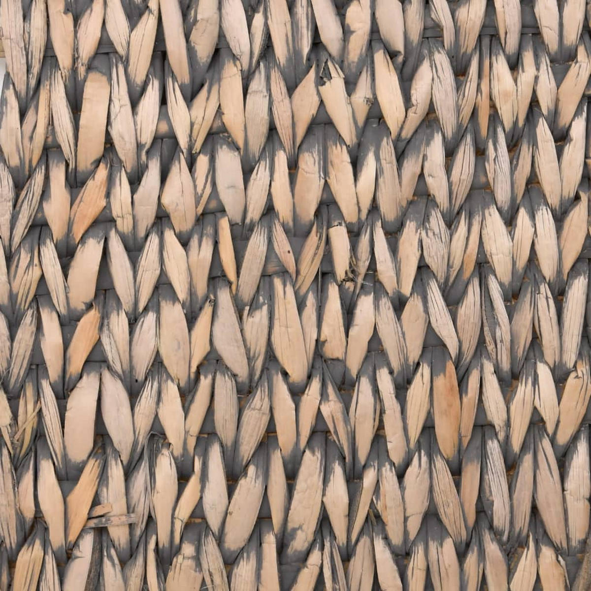 SITZBÄNKE Mit Stauraum Und Kissen In Grau 2er Set 69 Cm Rohrkolben - Grau, Holzwerkstoff (27/36/69cm) - vidaXL
