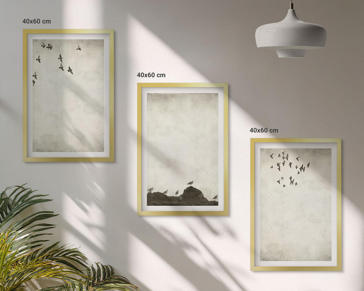 BILDER SET 3er Set - 40x60 cm Goldrahmen - Fliegende Vögel Minimalismus - Goldfarben, Kunststoff (40/60cm) - TULUP