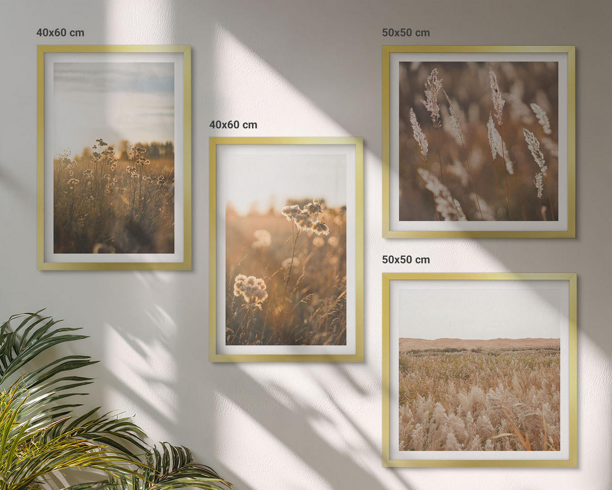 BILDER SET 4er Set - 50x50 cm & 40x60 cm Goldrahmen - Sommerwiesenblumen Sonnenuntergang - Goldfarben, Kunststoff (50/50cm) - TULUP