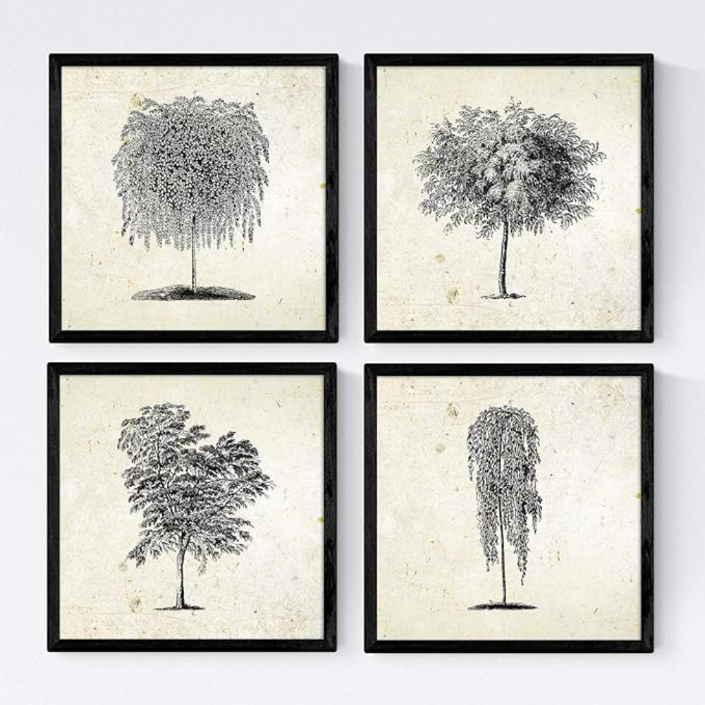 POSTER Set mit 4 Bädern Bäume verschiedene Blätter Weinlese Altpapierhintergrund 20x20cm Schwarzer Rahmen - Schwarz, Papier (20/3cm) - Nacnic