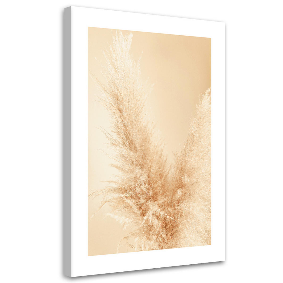 WANDBILD pampasgras makro - Beige, Textil (40/60cm) - Feeby