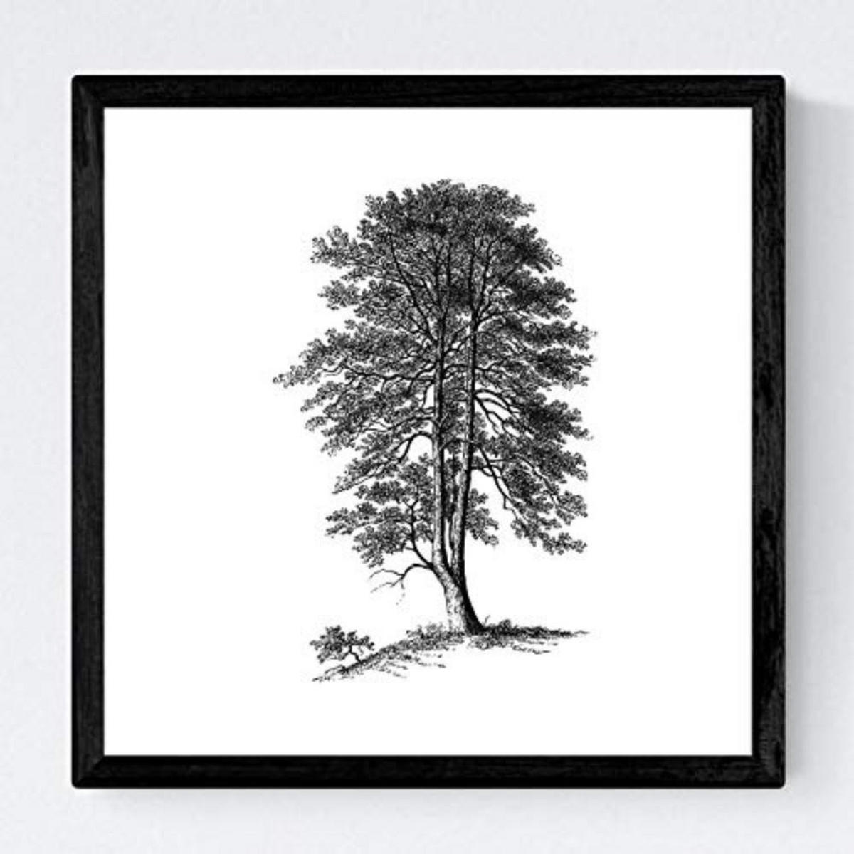 POSTER Set mit 4 Blättern der weißer Hintergrund 30x30 cm Rahmenlos - Klar, Papier (30/3cm) - Nacnic