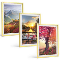 BILDER SET 3er Set - 40x60 cm Goldrahmen - Berglandschaften mit dem Fahrrad - Goldfarben, Kunststoff (40/60cm) - TULUP