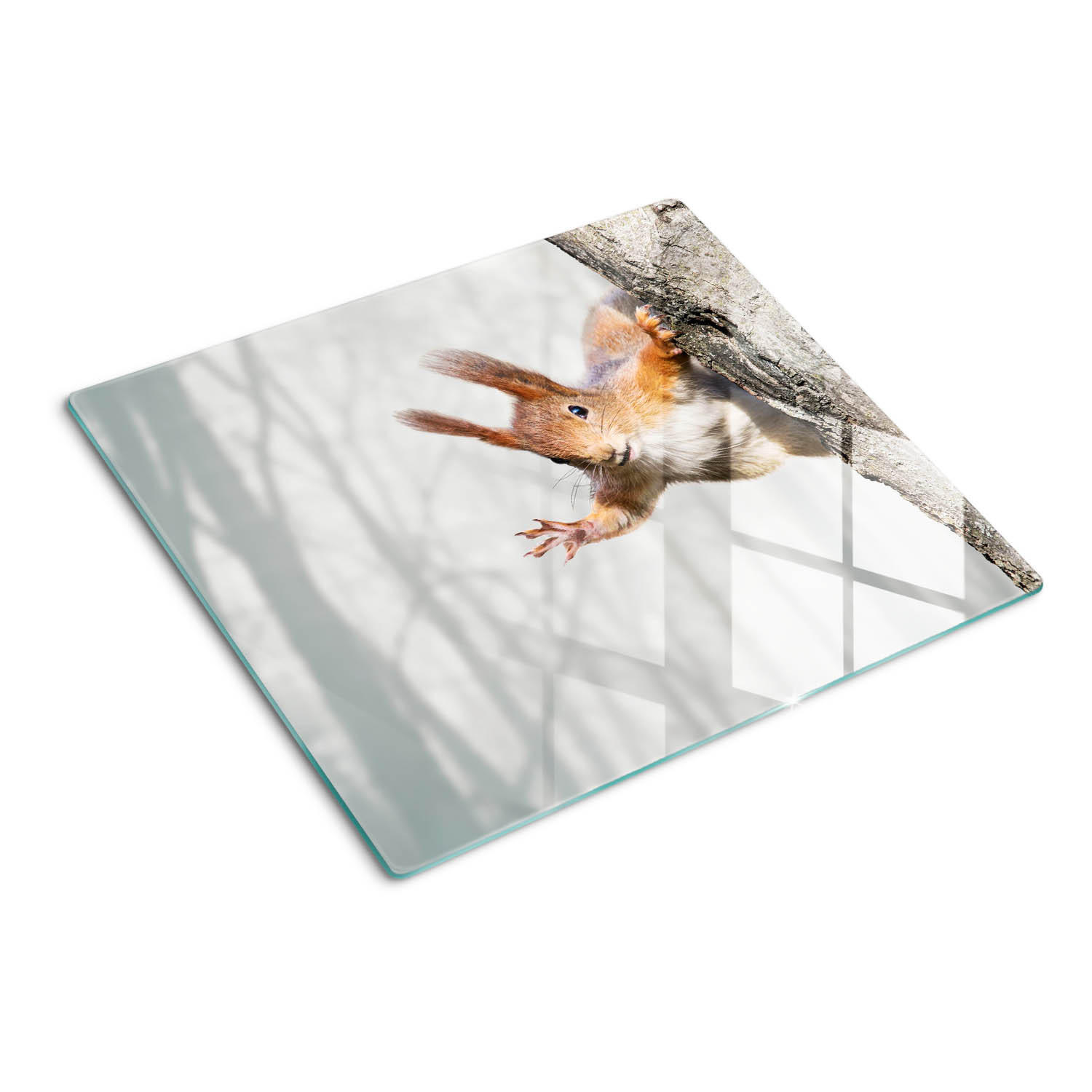 GLASPLATTE 60x52 cm Eichhörnchen - Beige, Glas (60/0.4/52cm) - TULUP
