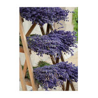 LEINWANDBILD Getrockneter Lavendel 70x50cm - Lila, Textil (70/1cm) - Art for the Home
