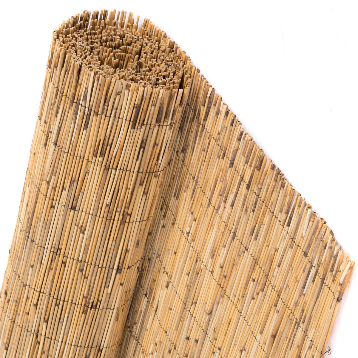 SICHTSCHUTZMATTE Aroa 60x160 cm, Schilfrohr naturfarben - Naturfarben, Naturmaterialien (600/160cm) - DESIGN DELIGHTS