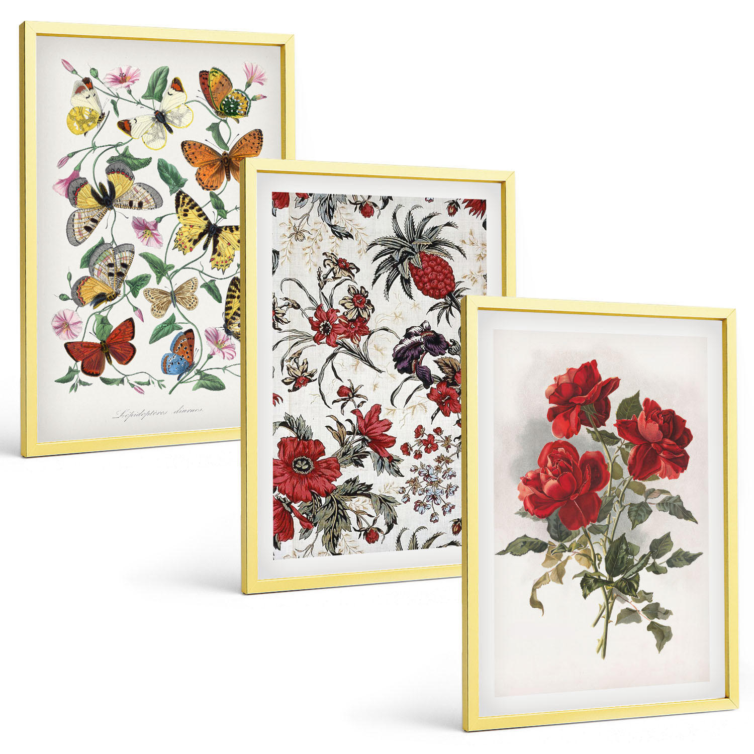 BILDER SET 3er Set - 40x60 cm Goldrahmen - Schmetterlinge, Blumen, rote Rosen - Goldfarben, Kunststoff (40/60cm) - TULUP