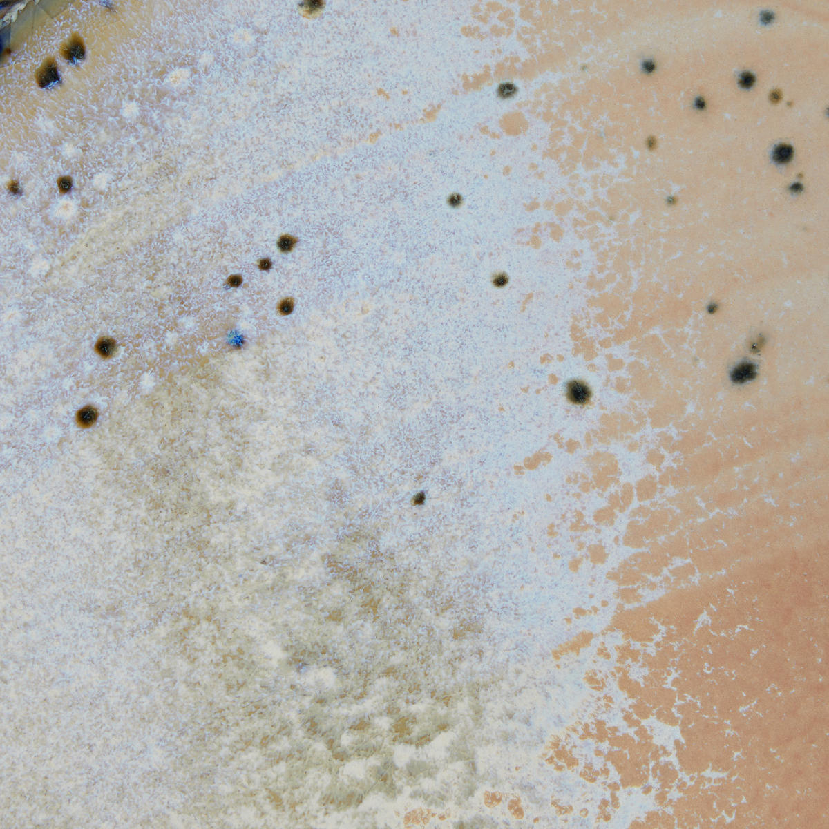 DINNERTELLER Sintra - Blau, Keramik (26/26/2cm) - Butlers