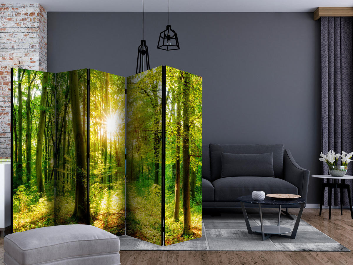 PARAVÁN Jednostranný 5-dielny 225x172 cm Slnečné Lúče v Lese - zelená, drevo/textil (225/172/3cm) - Muralo