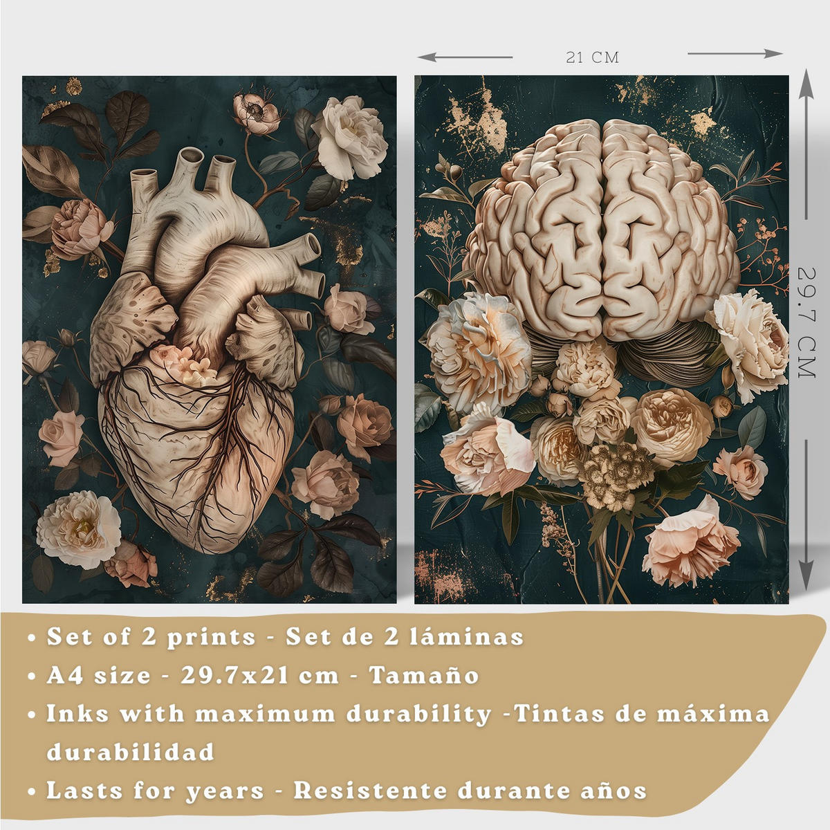 POSTER Set aus 2 Anatomie Mensch Drucke und Wandbilder mit Herz und Gehirn Elegante Florale Illustration Grüner Hintergrund Größe Weißer Rahmen A4 - Weiß, Papier (21/29.7/3cm) - Nacnic