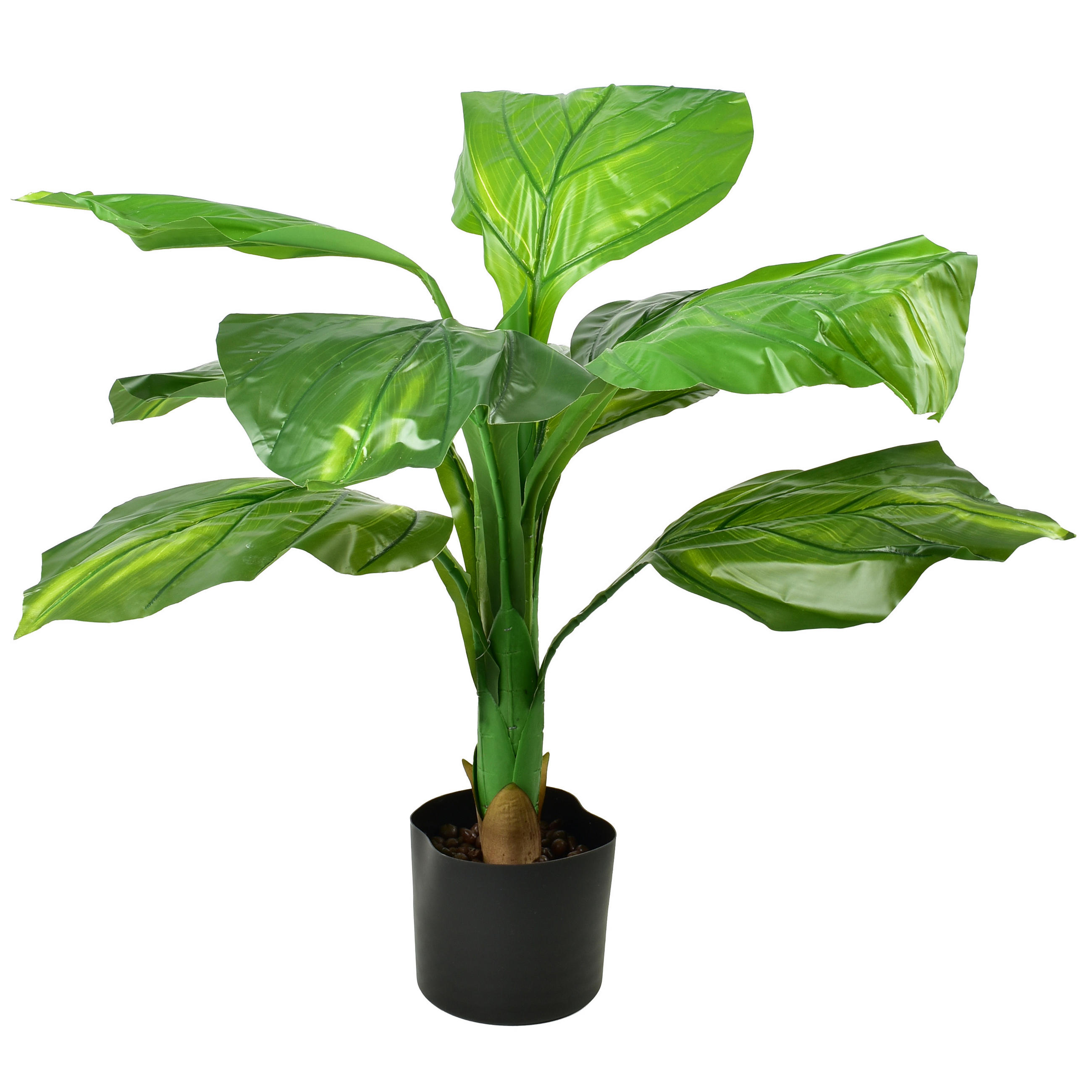 KUNSTBLUME Viridis Grün 19/19/80 cm Kunststoff - Grün, Kunststoff (80cm) - Mondex