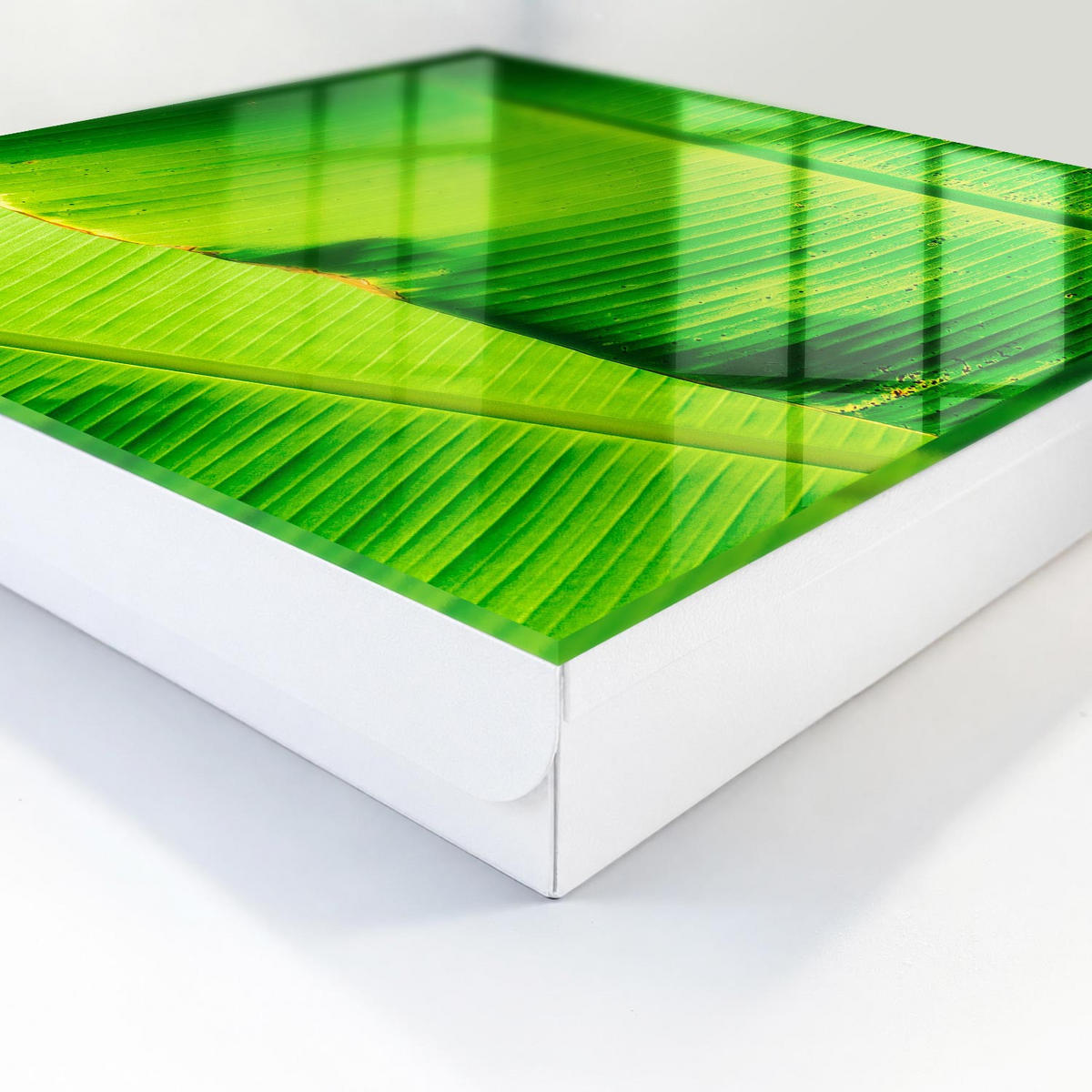 SCHLÜSSELBOX Weiß 30x30 cm – Türöffnung nach rechts - Blattglühen - Grün, Metall (30/30/5cm) - TULUP