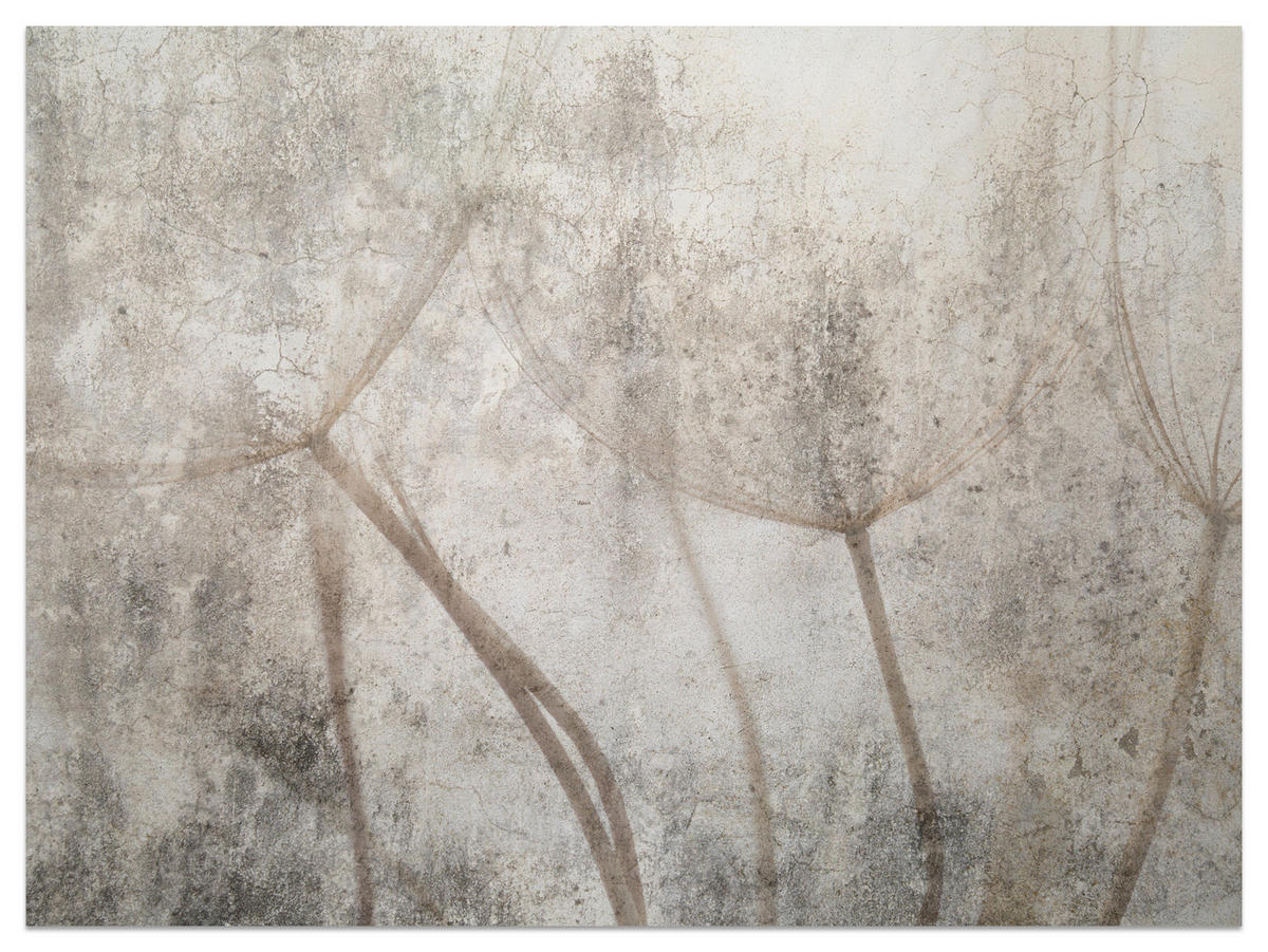 FOTOTAPETE für Wohnzimmer Zarter Skizze Löwenzahn Grauer Beton Minimalistisch 500x350 - Beige/Braun, Papier (500/350cm) - Muralo