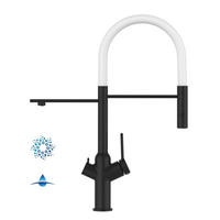 4-WEGE-KÜCHENARMATUR, Schwarz Matt und Weiß, 2-Strahl-Brause - Schwarz, Metall (20.61/48/20.61cm) - VIZIO