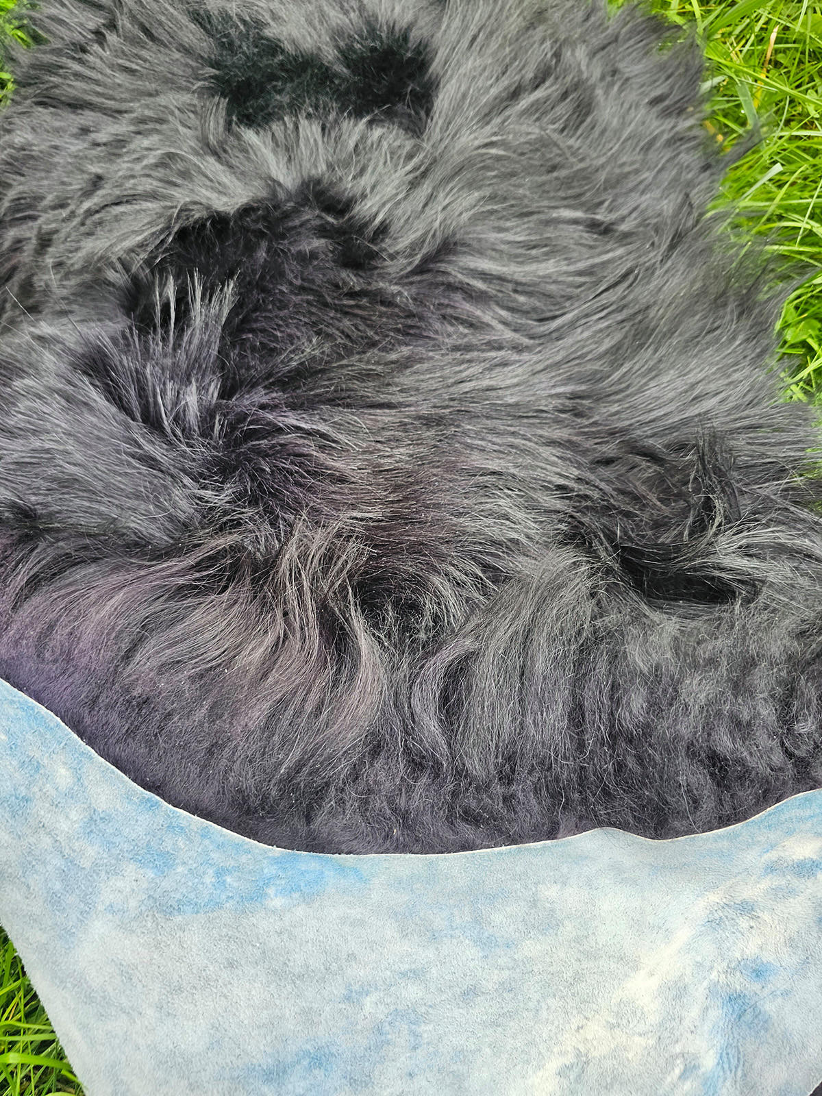 SCHAFFELL Island Anthrazit Schwarz geschoren ca. 120 cm - Anthrazit/Schwarz, Fell (70/120cm) - Provellus