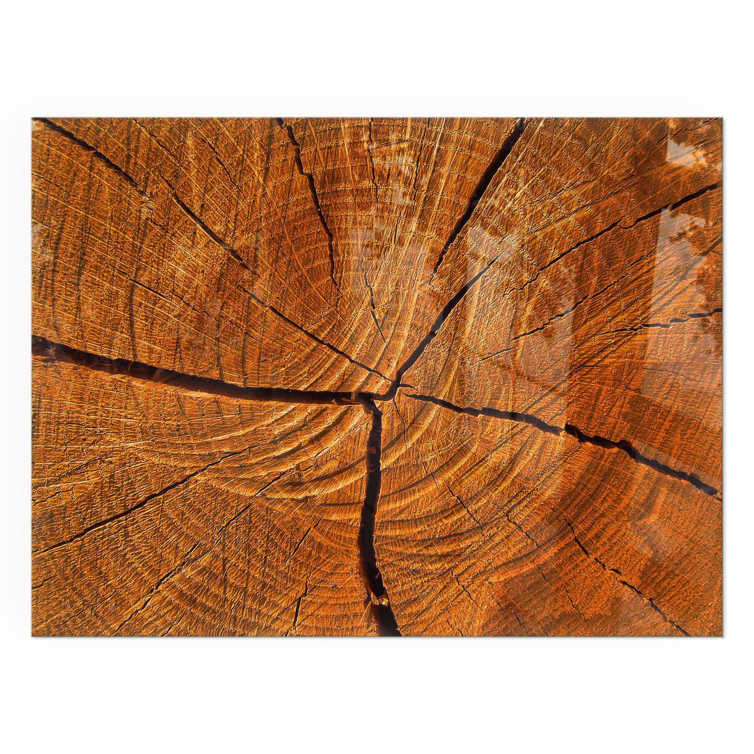 GLASPLATTE für Kamin 80x60 cm - Orange, Glas (80/60/0.4cm) - TULUP