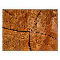 GLASPLATTE für Kamin 80x60 cm - Orange, Glas (80/60/0.4cm) - TULUP