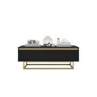COUCHTISCH Selene Schwarz matt 109 cm mit Metallrahmen - Goldfarben/Schwarz, Holzwerkstoff/Metall (50/109/39cm) - Meble Lindner