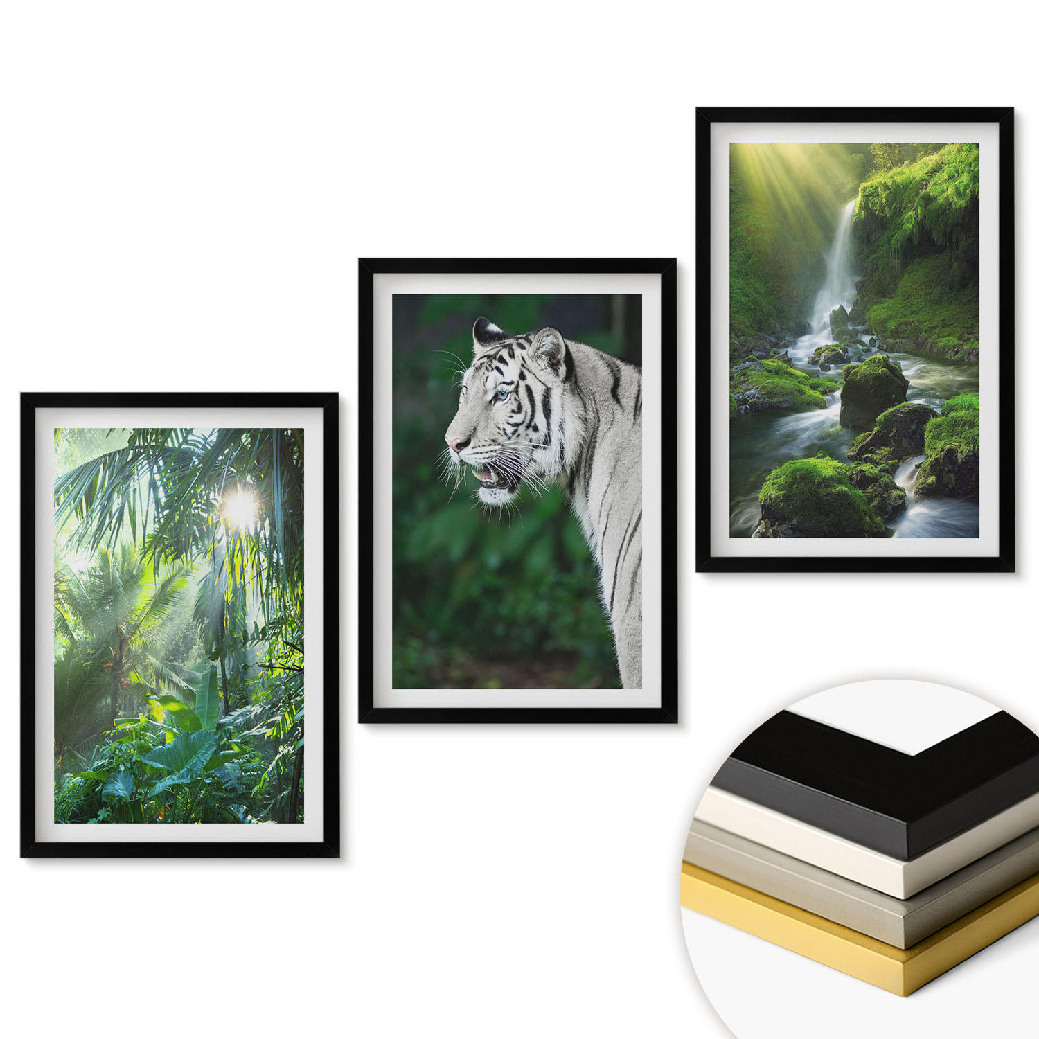 WANDBILDER 3er-Set - 40x60 cm Schwarzer Rahmen - Dschungeltigerwasserfall - Schwarz, Kunststoff (40/60cm) - ArtPrintCave