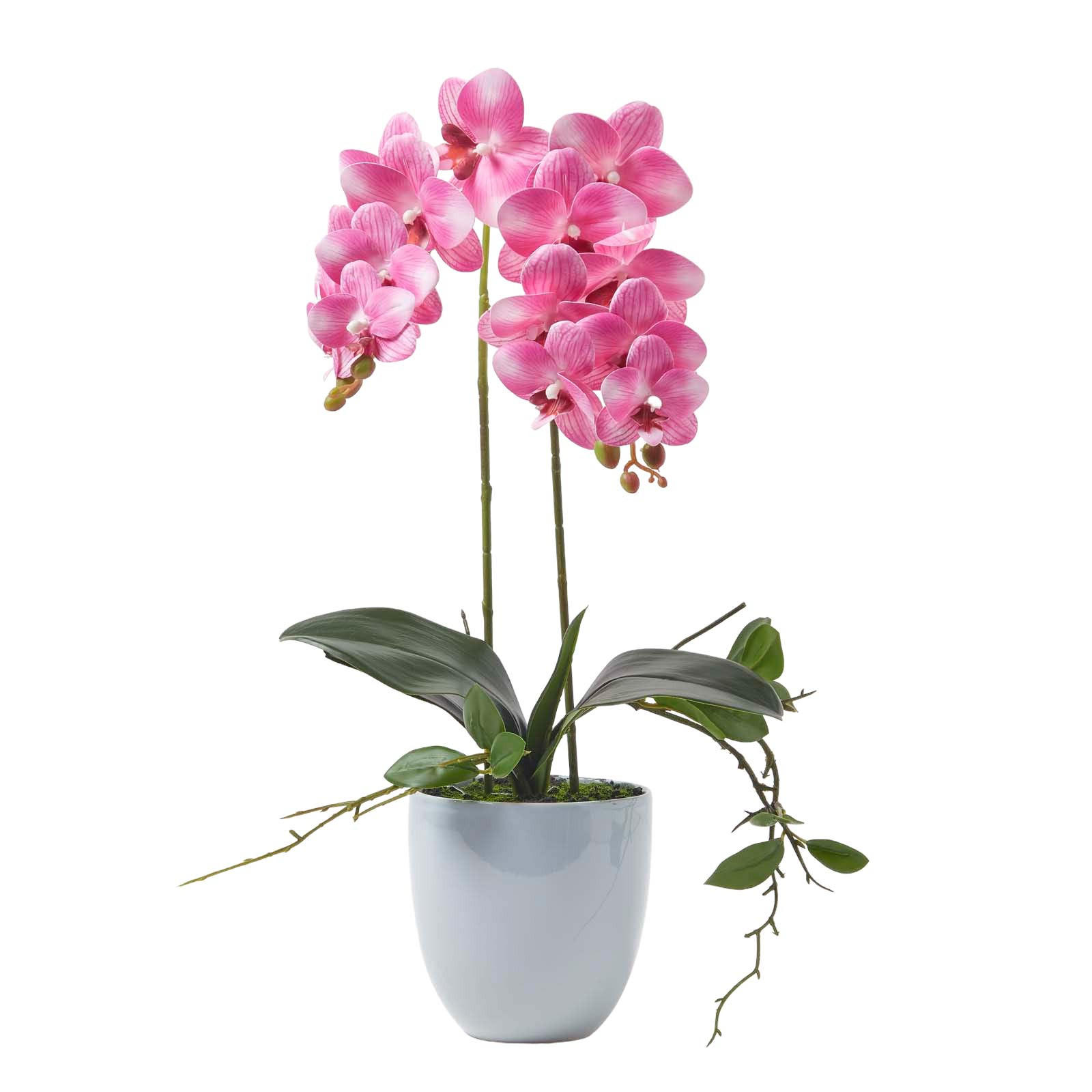 Homescapes Kunstblume Rosa 54 cm
