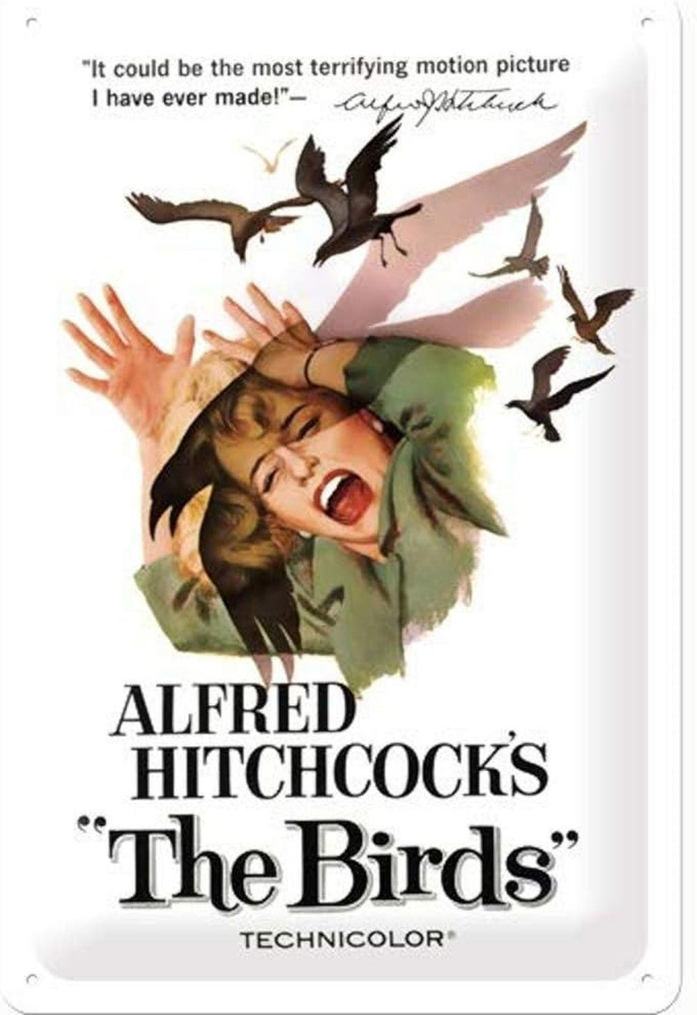 BLECHSCHILD 20/30 cm Alfred Hitchcock's "The Birds" - Multicolor, Metall (20/30/0.2cm) - Nostalgic-Art