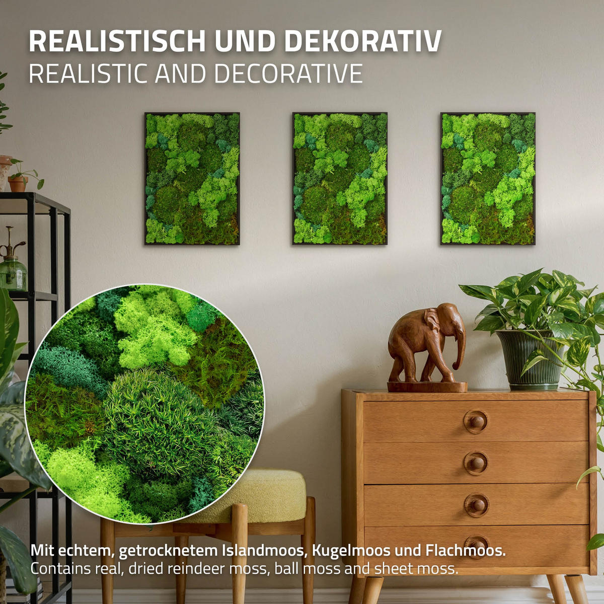 MOOSBILD Rechteck 38 x 27 cm Mooswand Indoor mit echtem echtem Kugelmoos-Islandmoos-Flachmoos-Mix und Holzrahmen Grün - Waldgrün, Naturmaterialien (27/38/3.5cm) - ECD-Germany