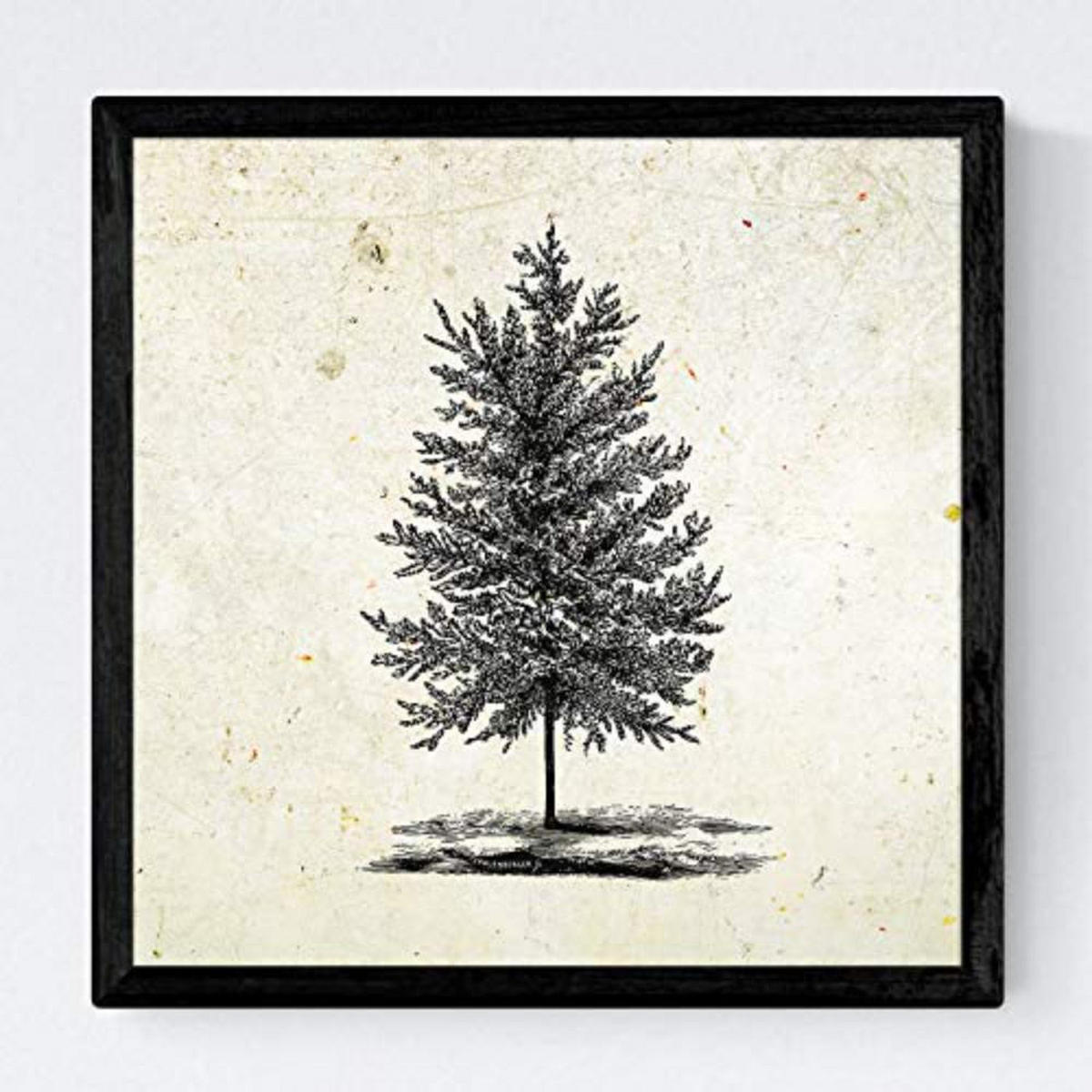 POSTER Set mit 4 Blättern der Bäume Zierbäume Jahrgang Hintergrund 20x20cm Rahmenlos - Klar, Papier (20/3cm) - Nacnic