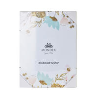 CLIPRAHMEN Adi Transparent 40/30/1 cm Kunstoff - Transparent, Kunststoff (30/1/40cm) - Mondex