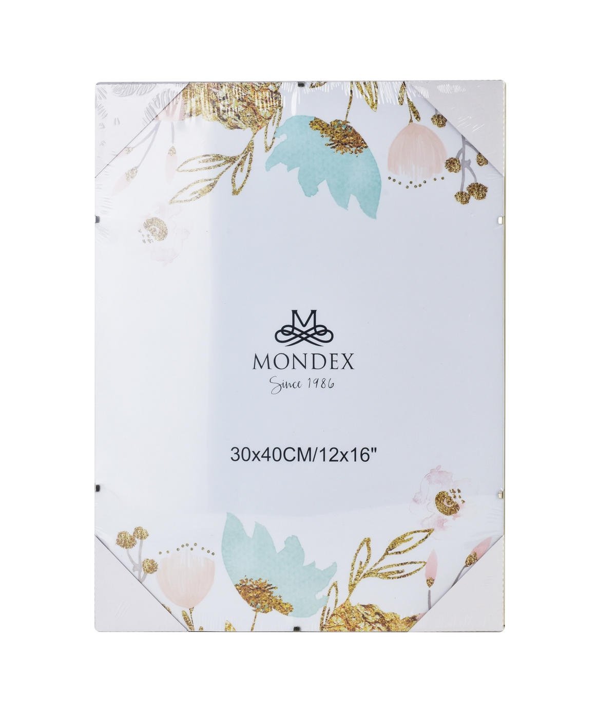 CLIPRAHMEN Adi Transparent 40/30/1 cm Kunstoff - Transparent, Kunststoff (30/1/40cm) - Mondex