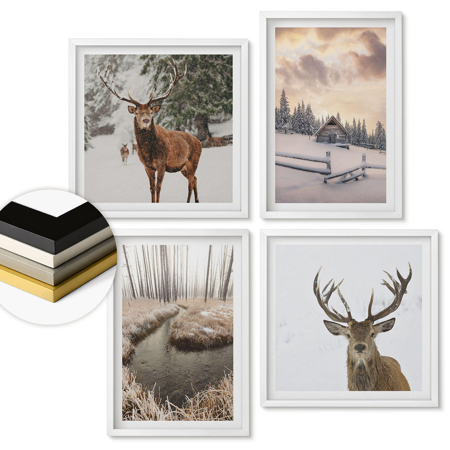 WANDBILDER 4er-Set - 50x50 cm & 40x60 cm Weißer Rahmen - Winterlandschaft mit Hirschen - Weiß, Kunststoff (50/50cm) - ArtPrintCave