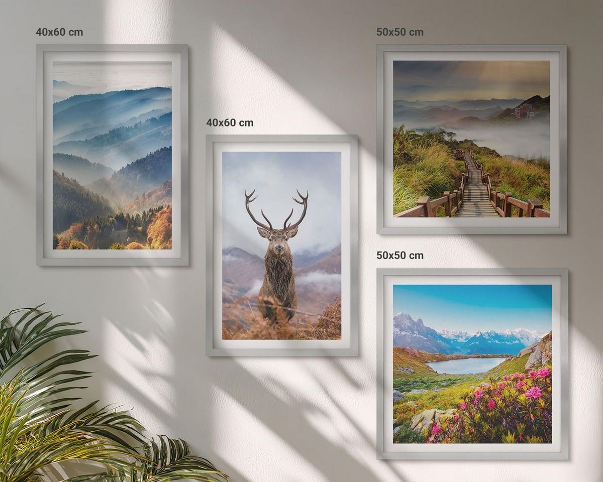BILDER SET 4er Set - 50x50 cm & 40x60 cm Silberner Rahmen - Berglandschaft, See, Hirsche - Silberfarben, Kunststoff (50/50cm) - TULUP