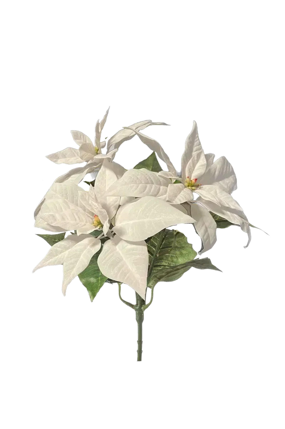 KUNSTPFLANZE Künstliche Poinsettia - Augustus 32 cm - Grün, Kunststoff (32cm) - Emerald