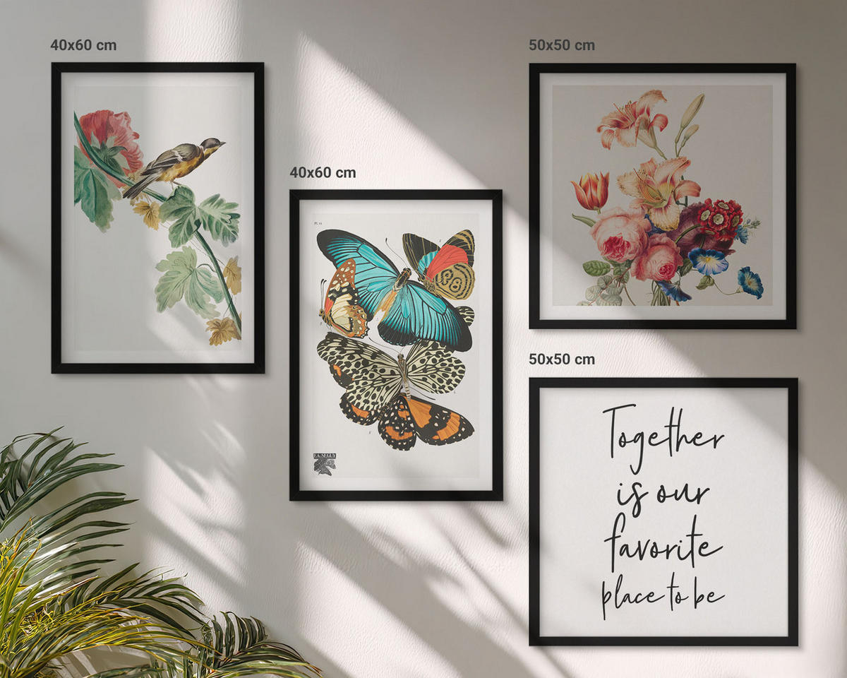 BILDER SET 4er Set - 50x50 cm & 40x60 cm Schwarzer Rahmen - Blumen, Schmetterlinge, Vögel, Pastellfarben - Schwarz, Kunststoff (50/50cm) - TULUP